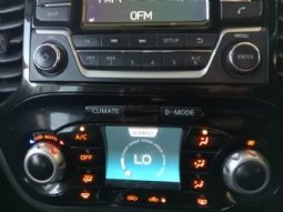 Nissan Juke full