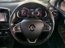 Renault Clio full